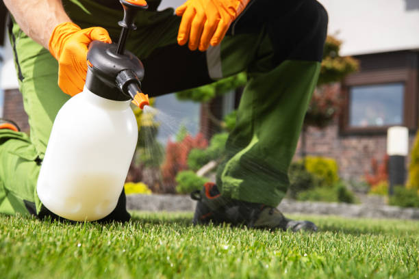 Best Best Pest Control Companies  in Whitesburg, KY