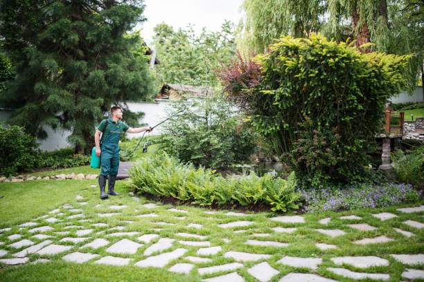 Best Mosquito Control Services  in Whitesburg, KY