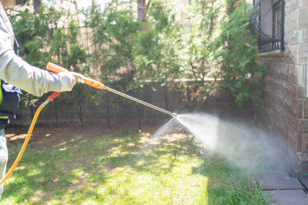Best Local Pest Control Services  in Whitesburg, KY